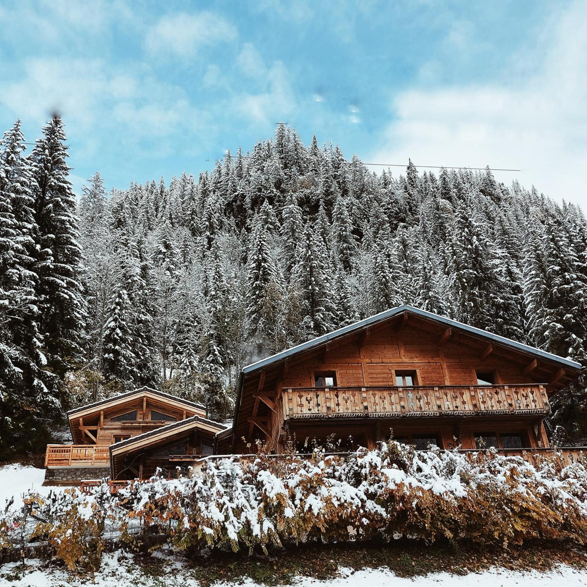 Châtel Savoya Lodges מראה חיצוני תמונה